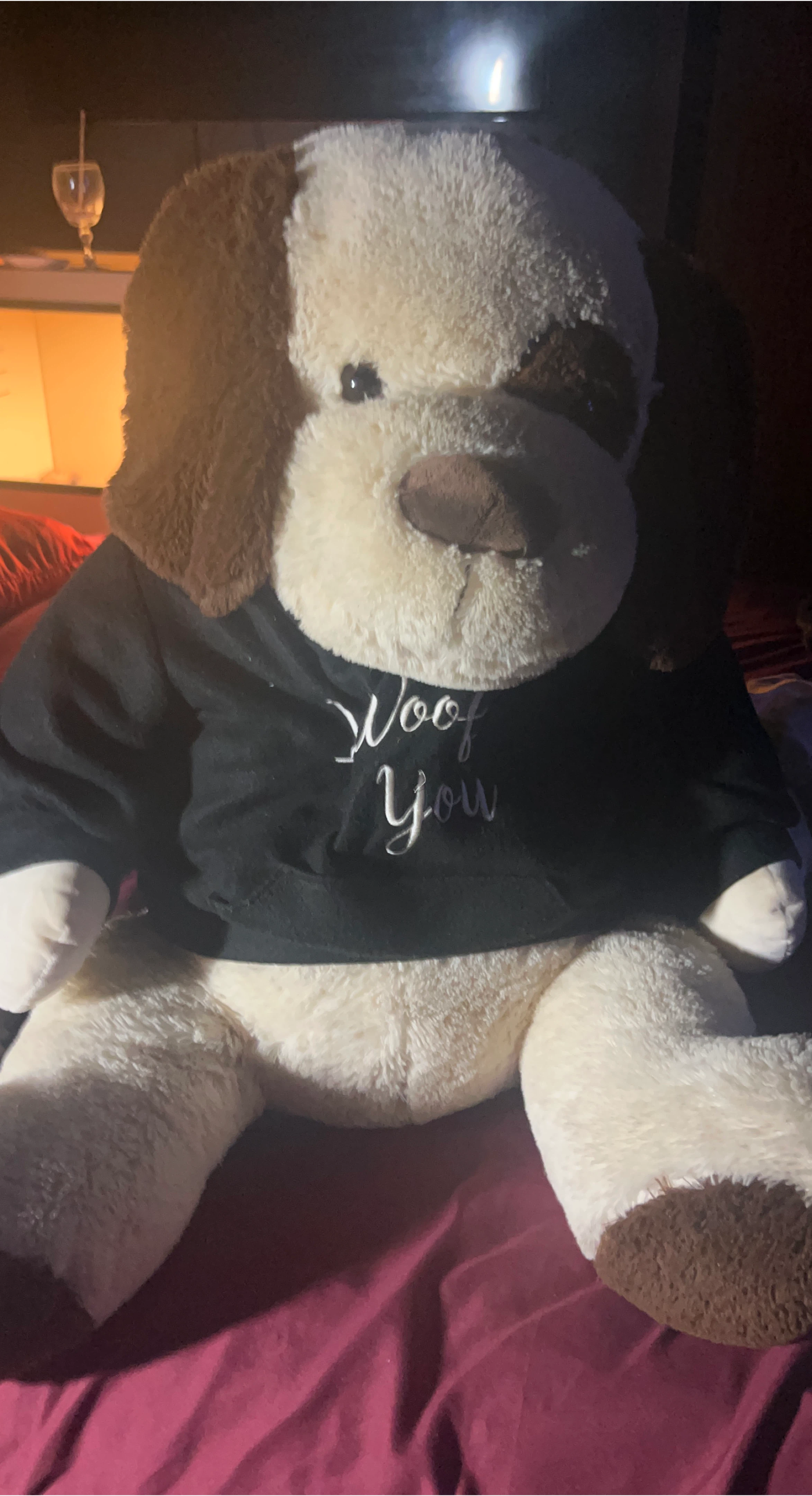 Dog Plushie with "Woof You" Hoodie