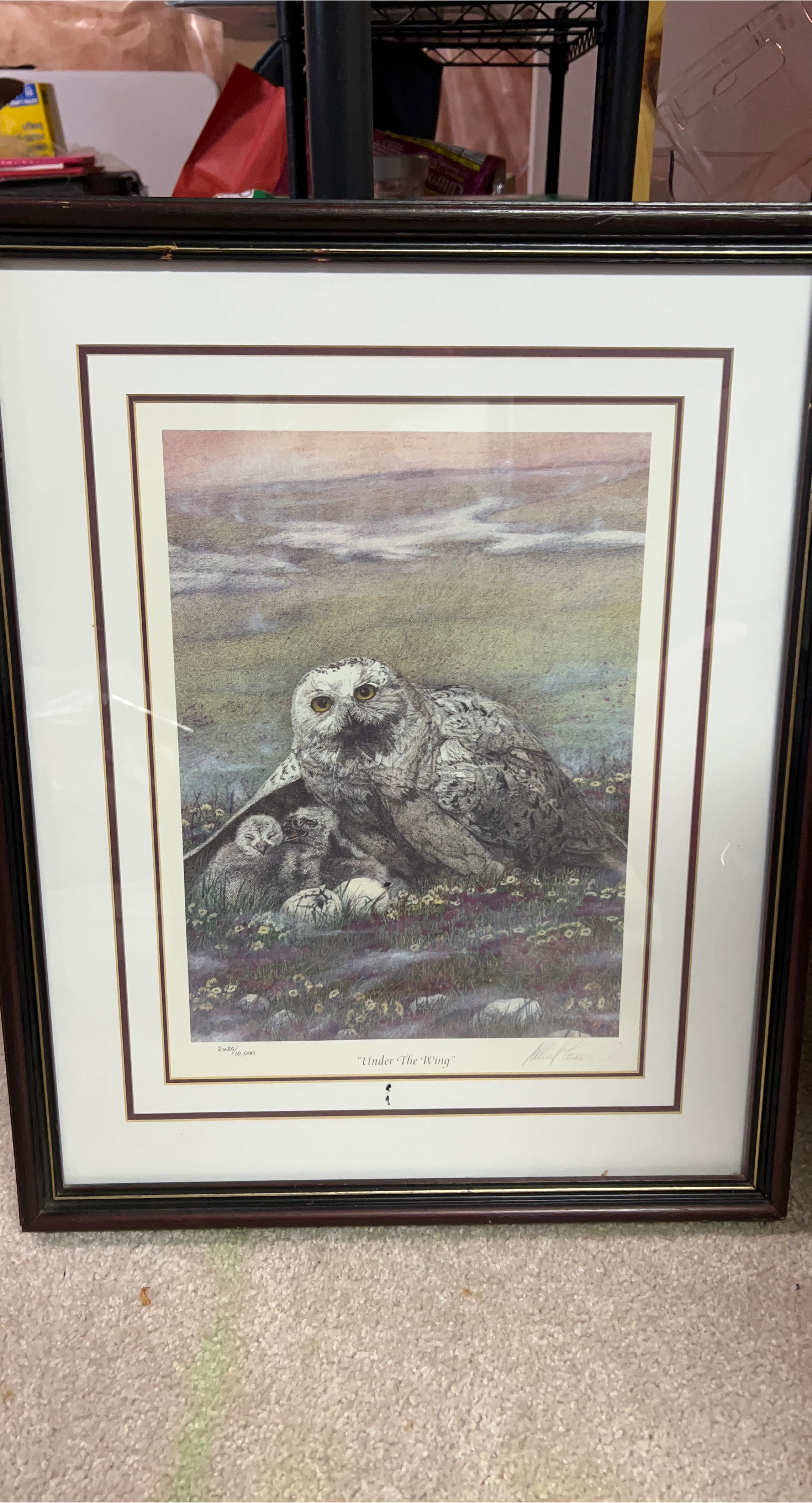 Framed Allen Hansen Print - "Under The Wing"