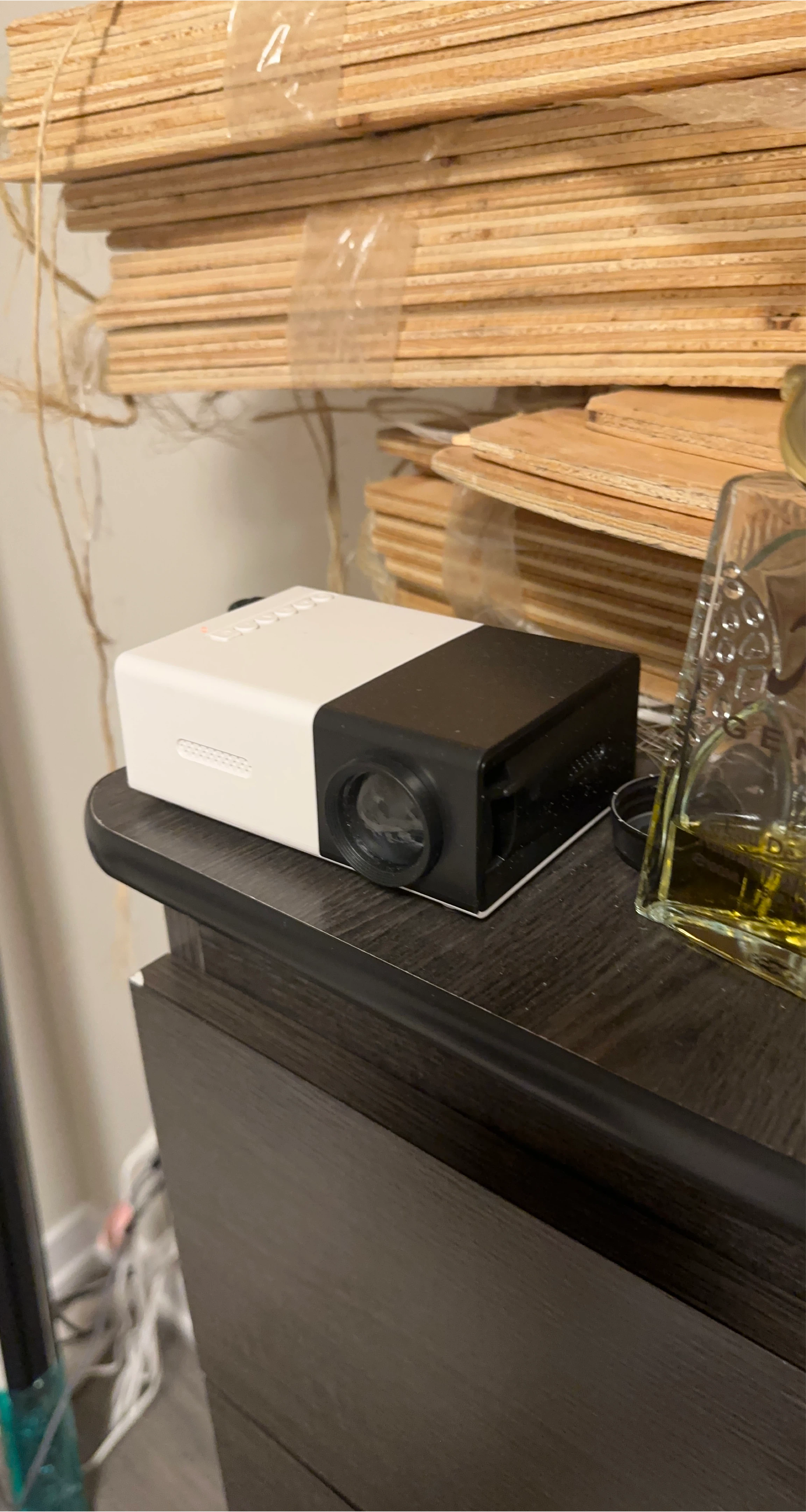 Portable Mini Projector