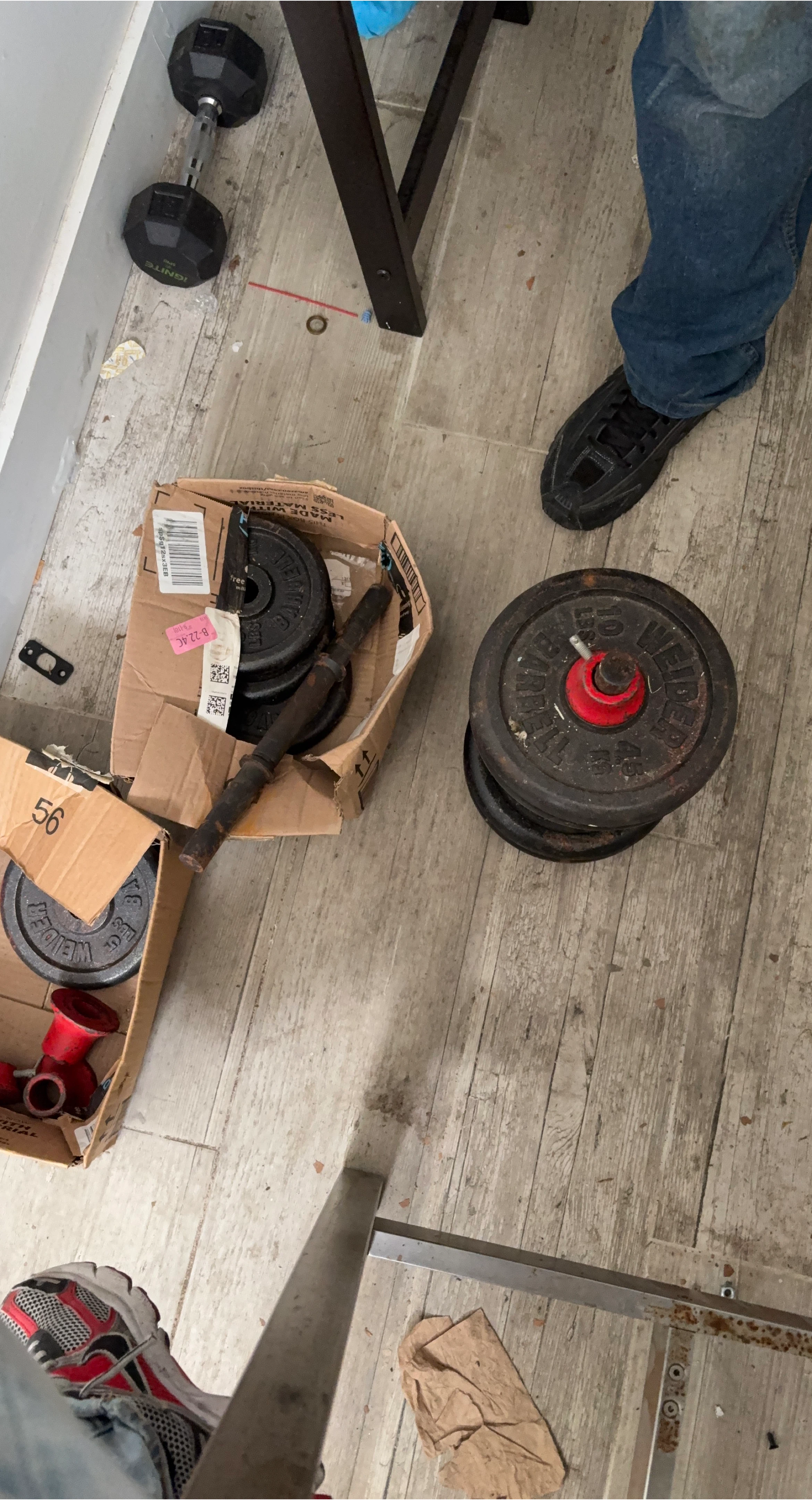 Weight Plates and Dumbbell Handle