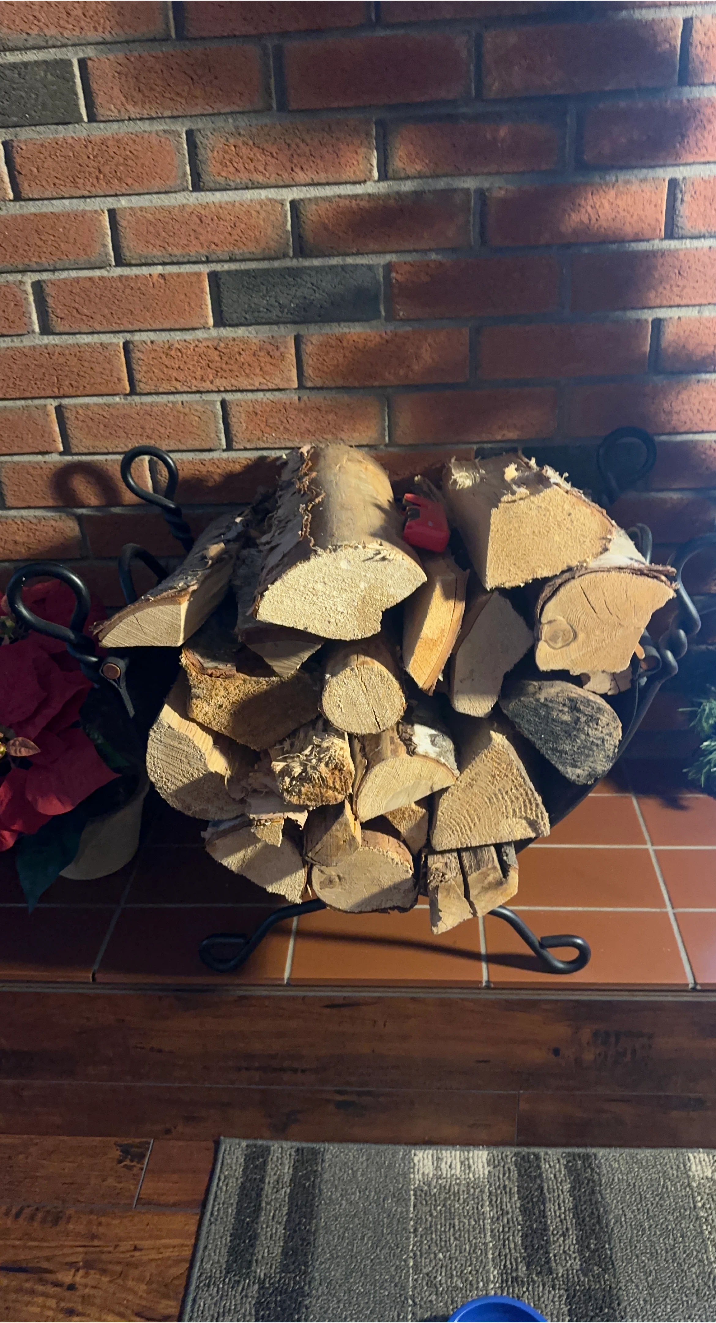 Firewood in Metal Log Holder