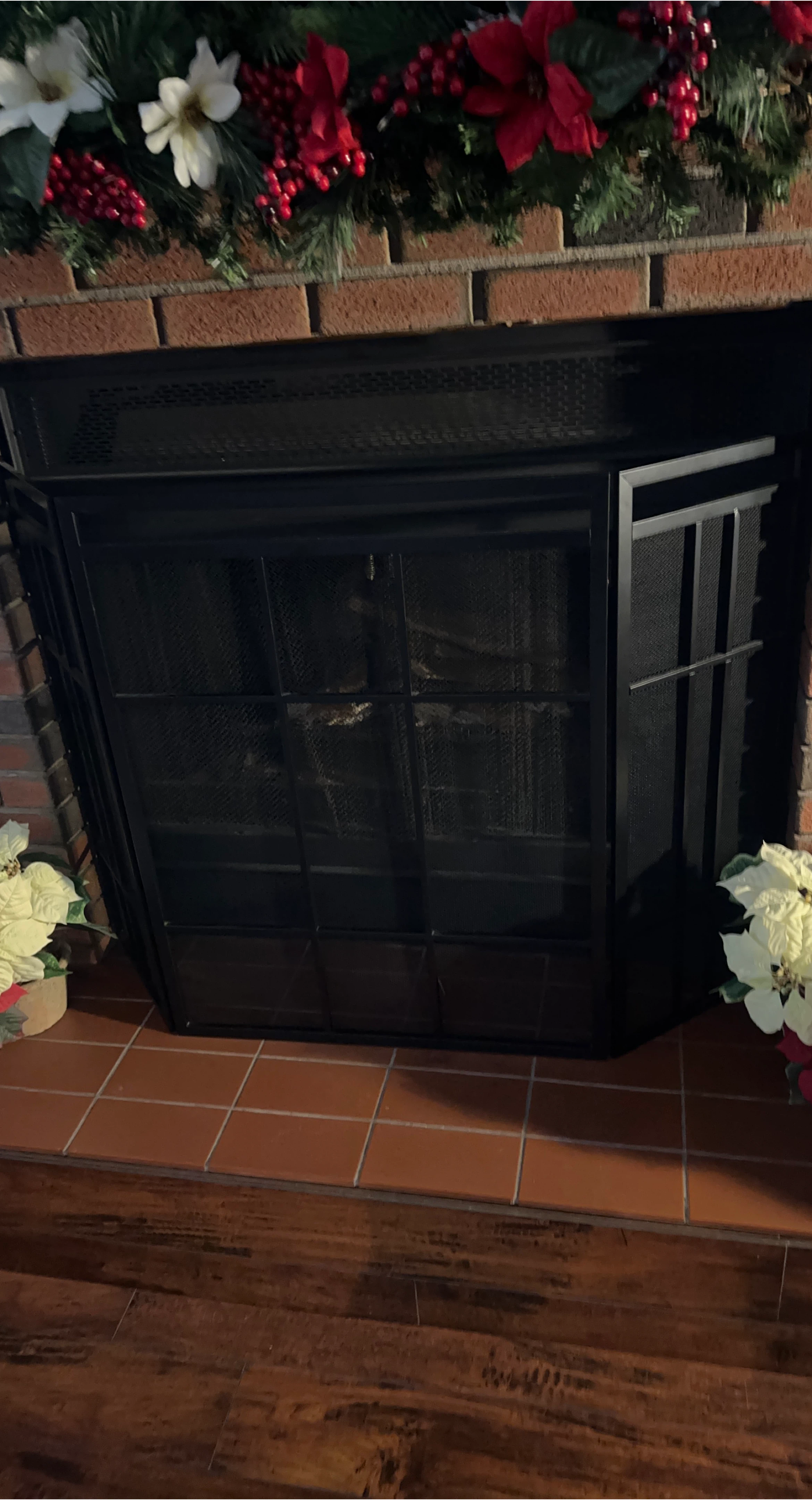 Fireplace Screen