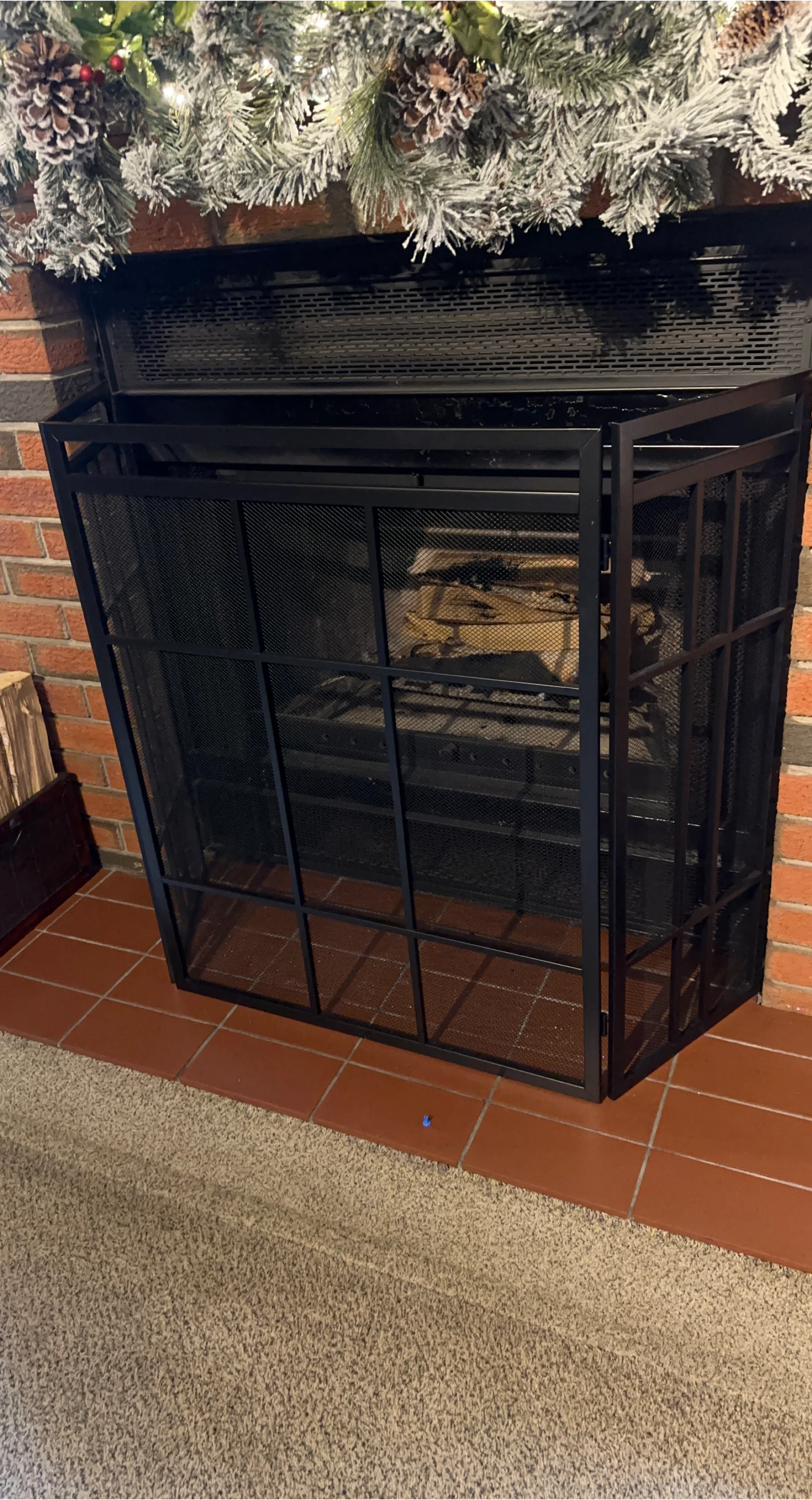 Black Fireplace Screen