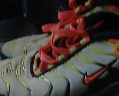 Nike TN Air Max Plus Sneakers