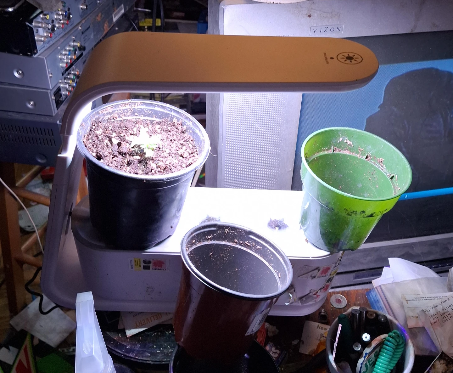 Click & Grow  starter pots