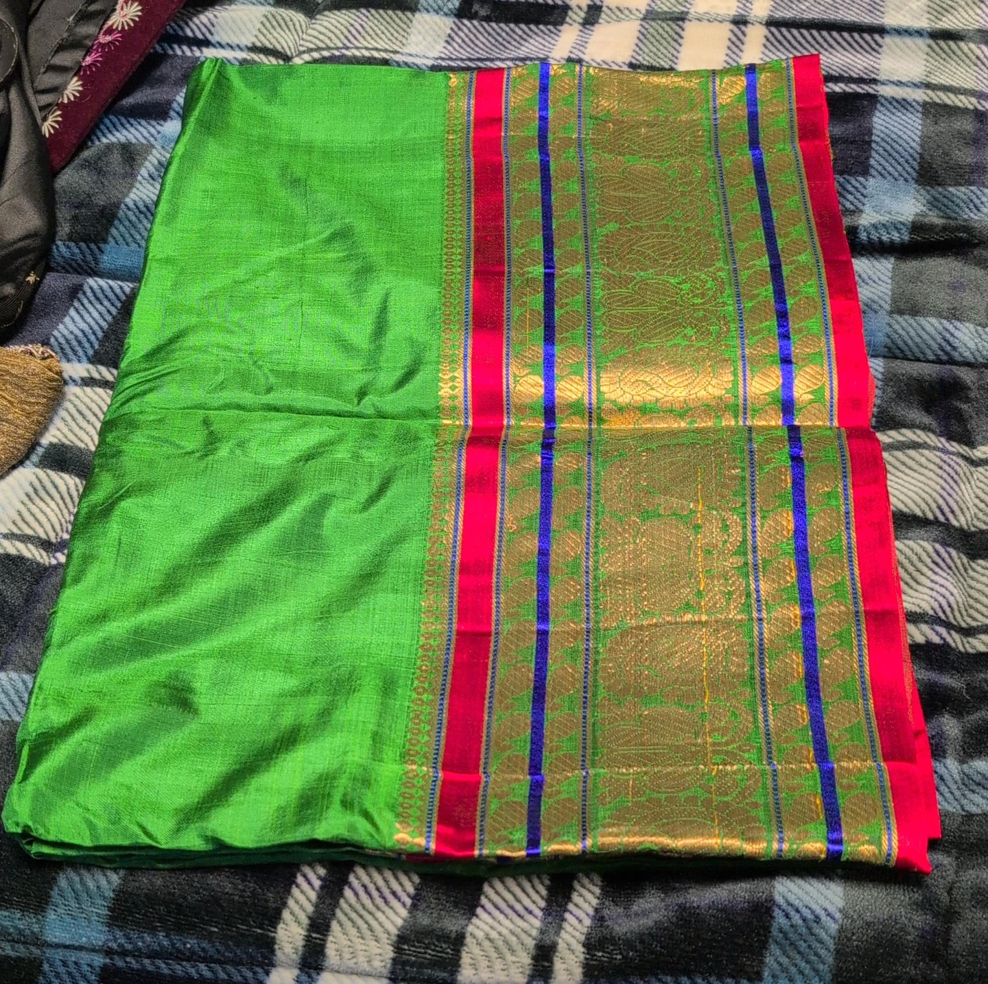 Green saree with gold and red border