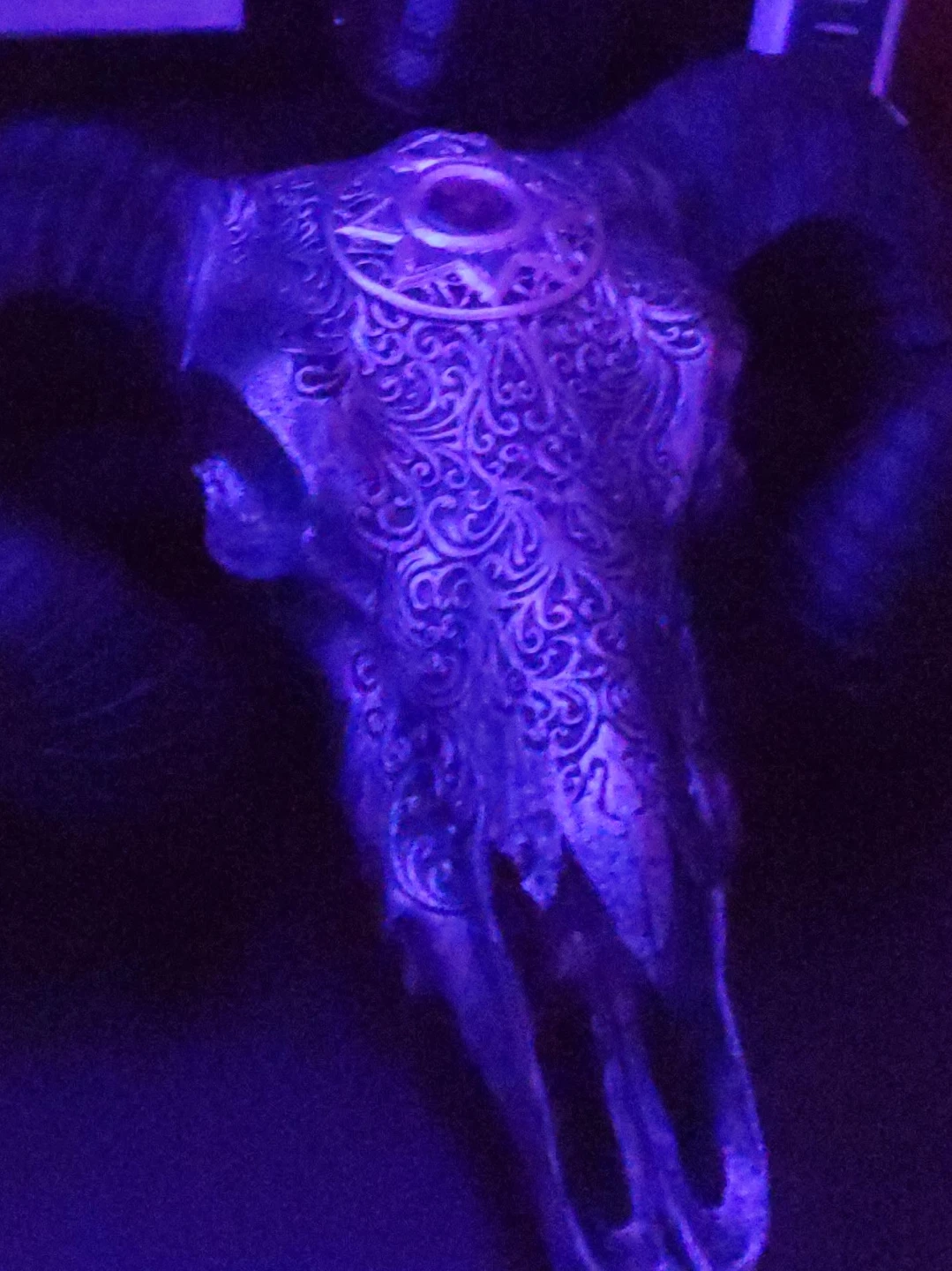 Decorative Ram Skull