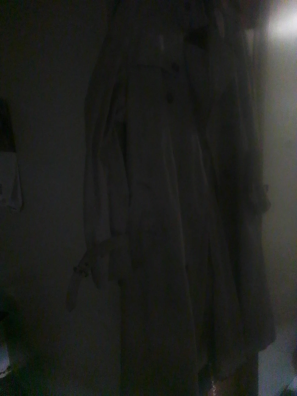 Trench coat