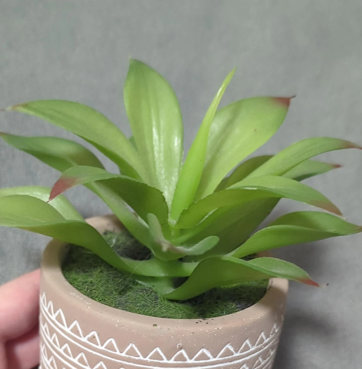 Artificial Succulent Plant