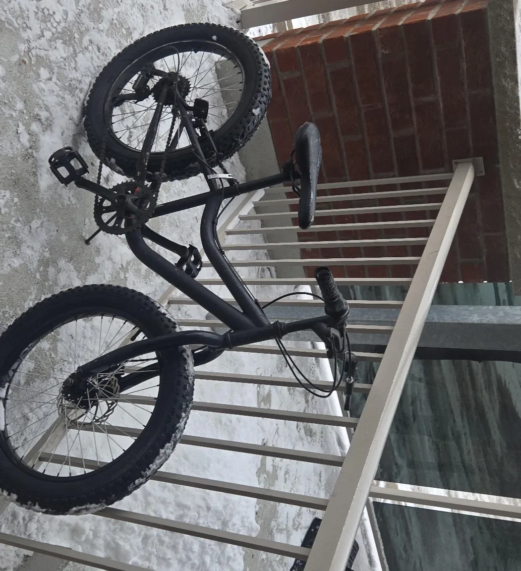 Black Fat Tire Bike