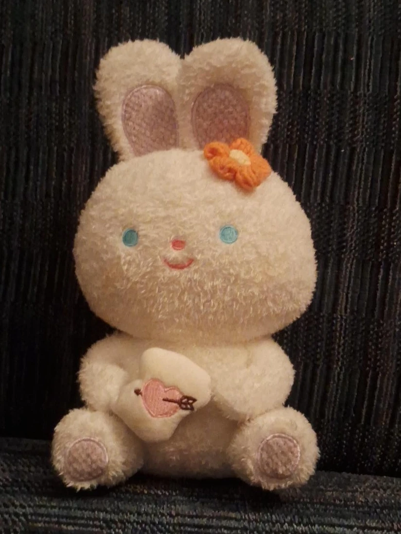 White Plush Bunny with Heart