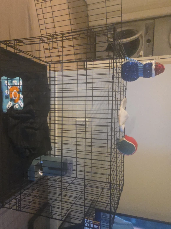 Dog Cage with Accessories