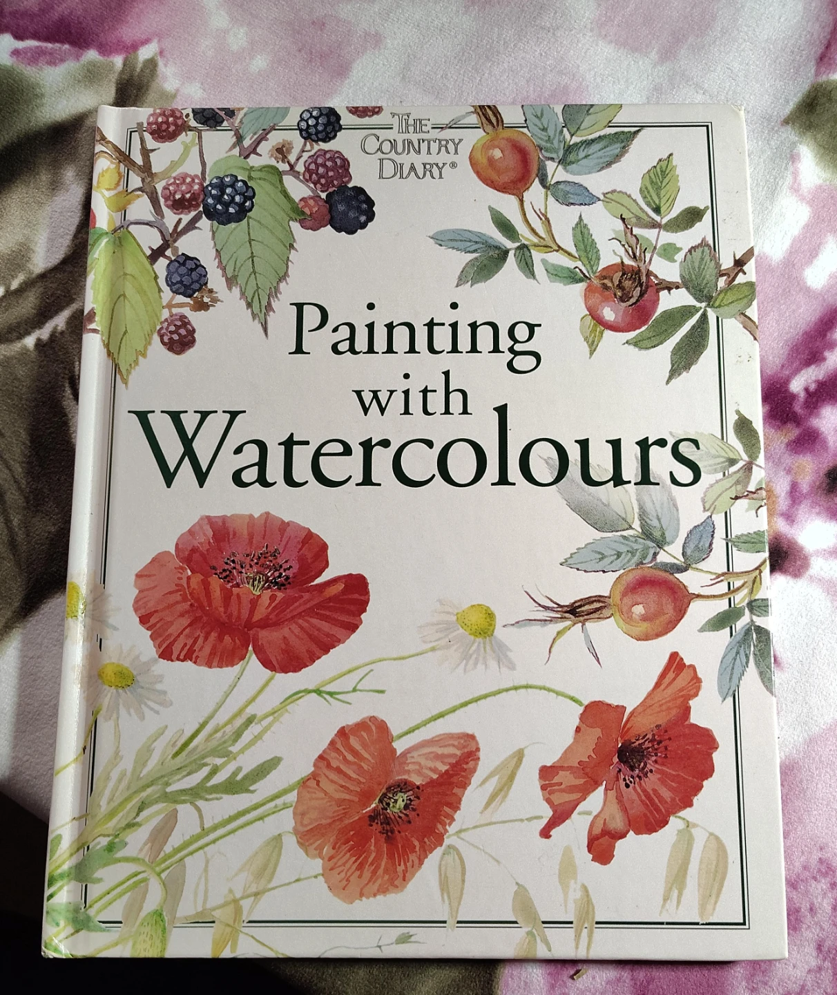 The Country Diary: Painting with Watercolours