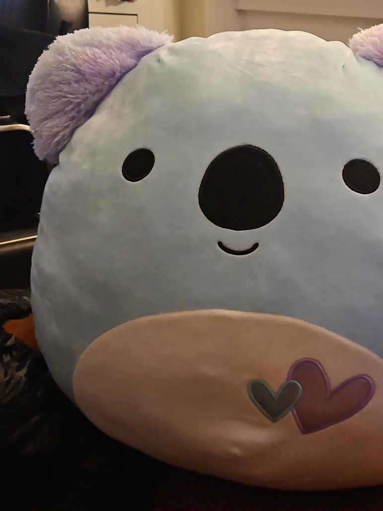 Squishmallow Koala Plush Toy