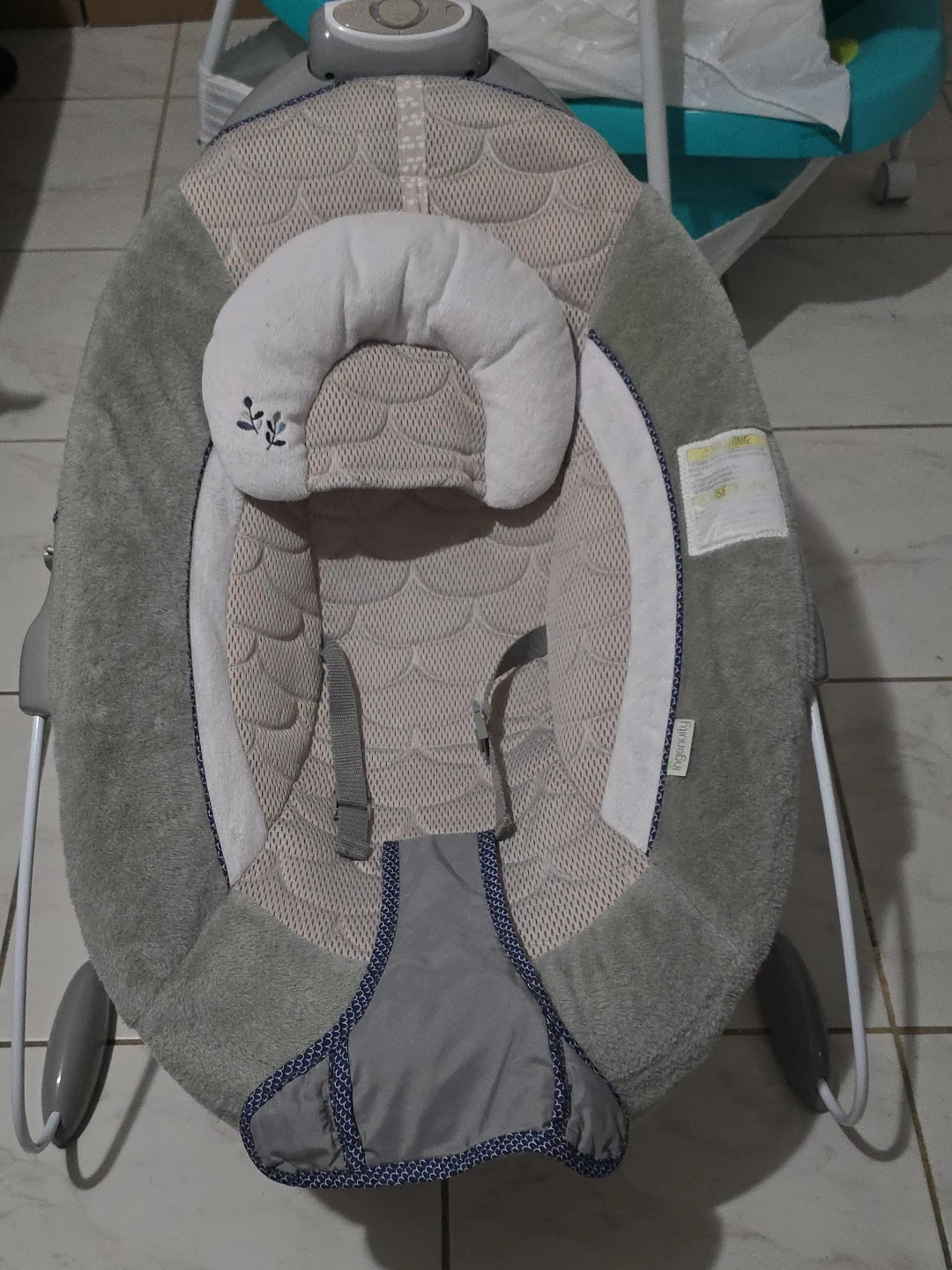 Ingenuity Baby Bouncer