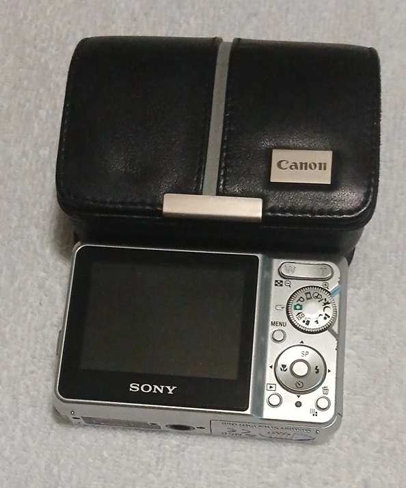 #cleanout Sony Digital Camera with Canon Case