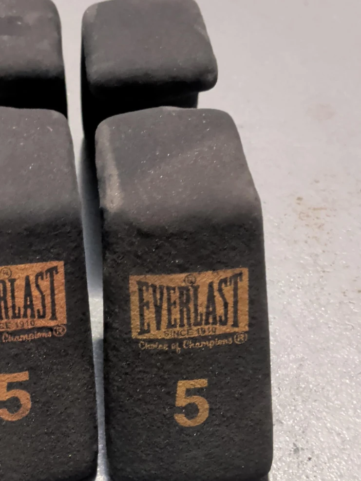 Everlast 5 lb Dumbbells