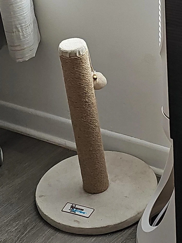 Whisker Mittens Cat Scratching Post