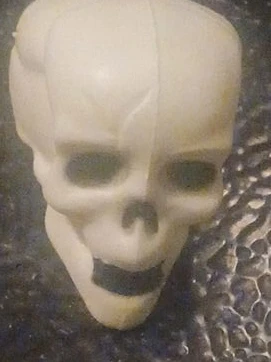 Skull