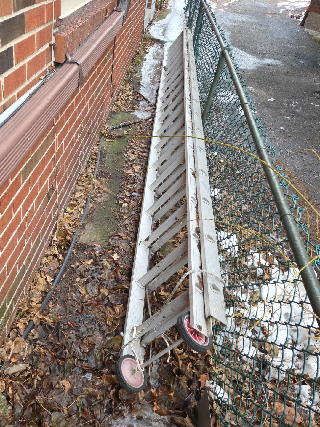 Aluminum Extension Ladder with Wheels