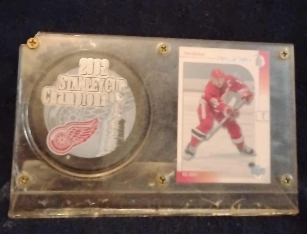2002 Stanley Cup Champions Detroit Red Wings Display Case