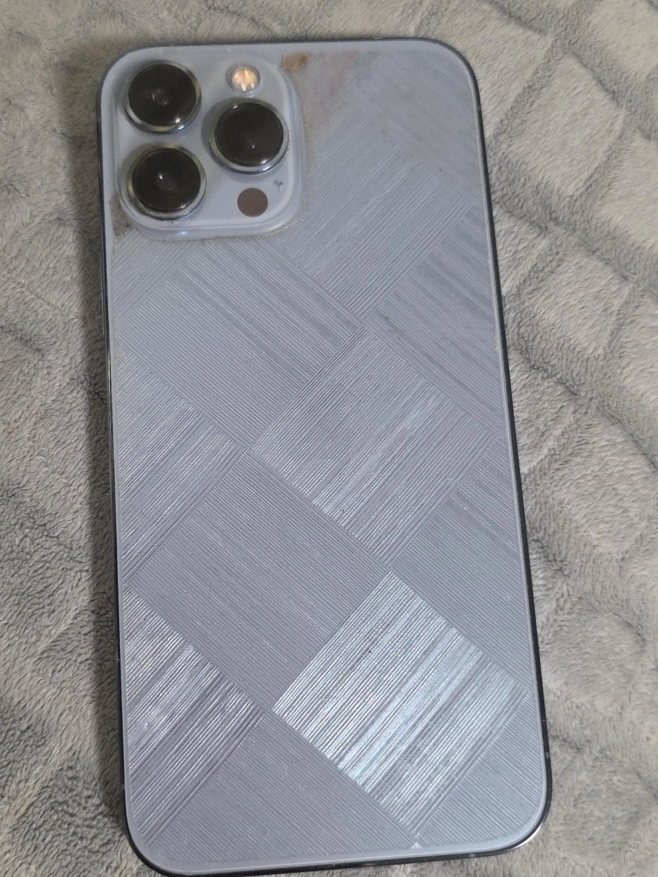 iPhone 13 Pro Max Phone Case