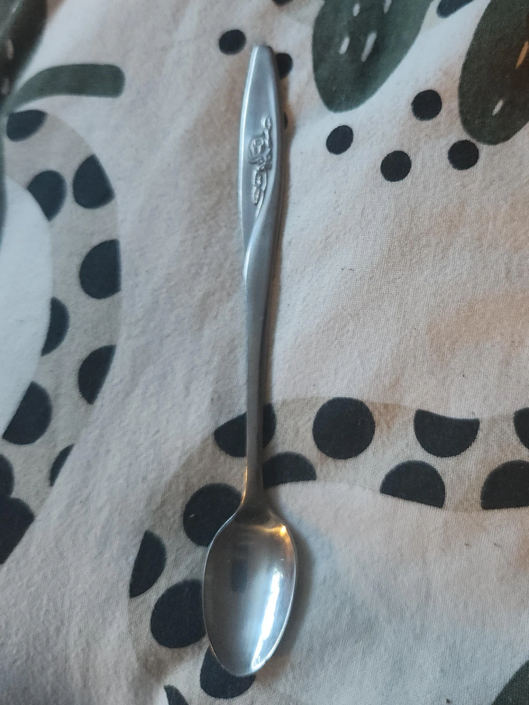 Stainless Steel Spoon🌱