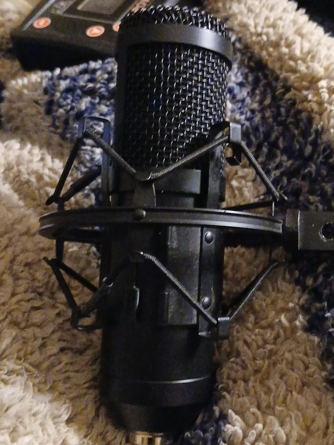 Black Microphone with Suspension Mount