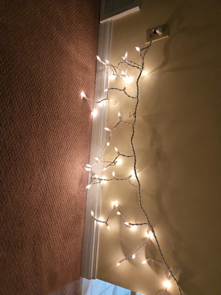 String Lights - Indoor/Outdoor Decor
