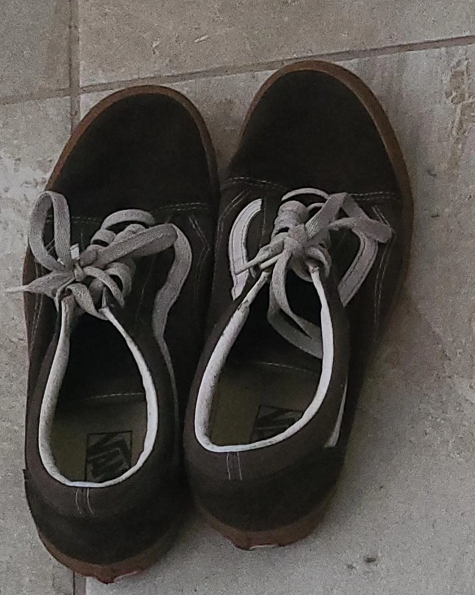 Vans Old Skool Brown Shoes