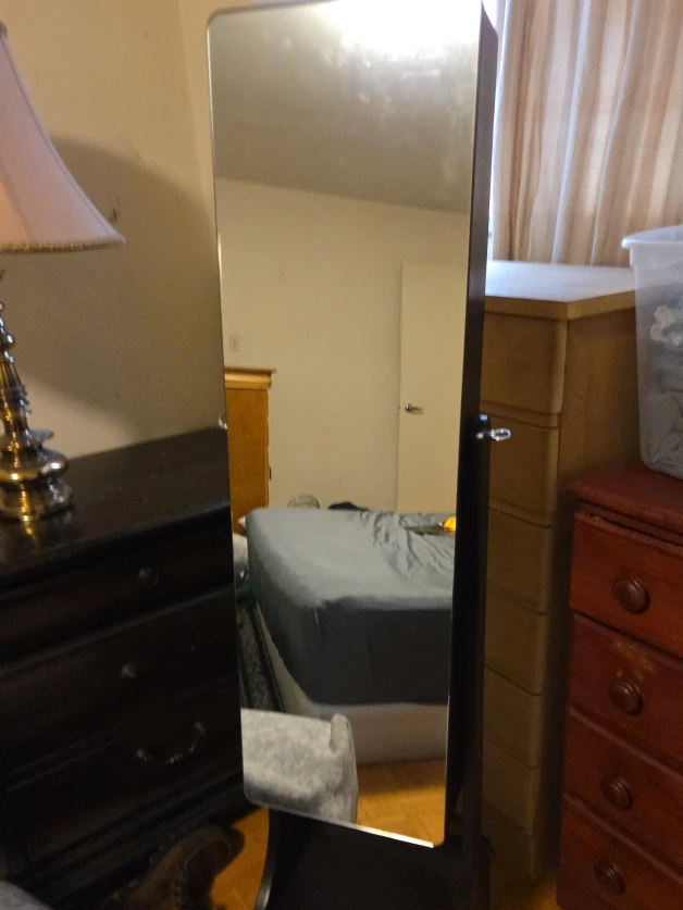 Dark Brown Mirrored Jewelry Armoire