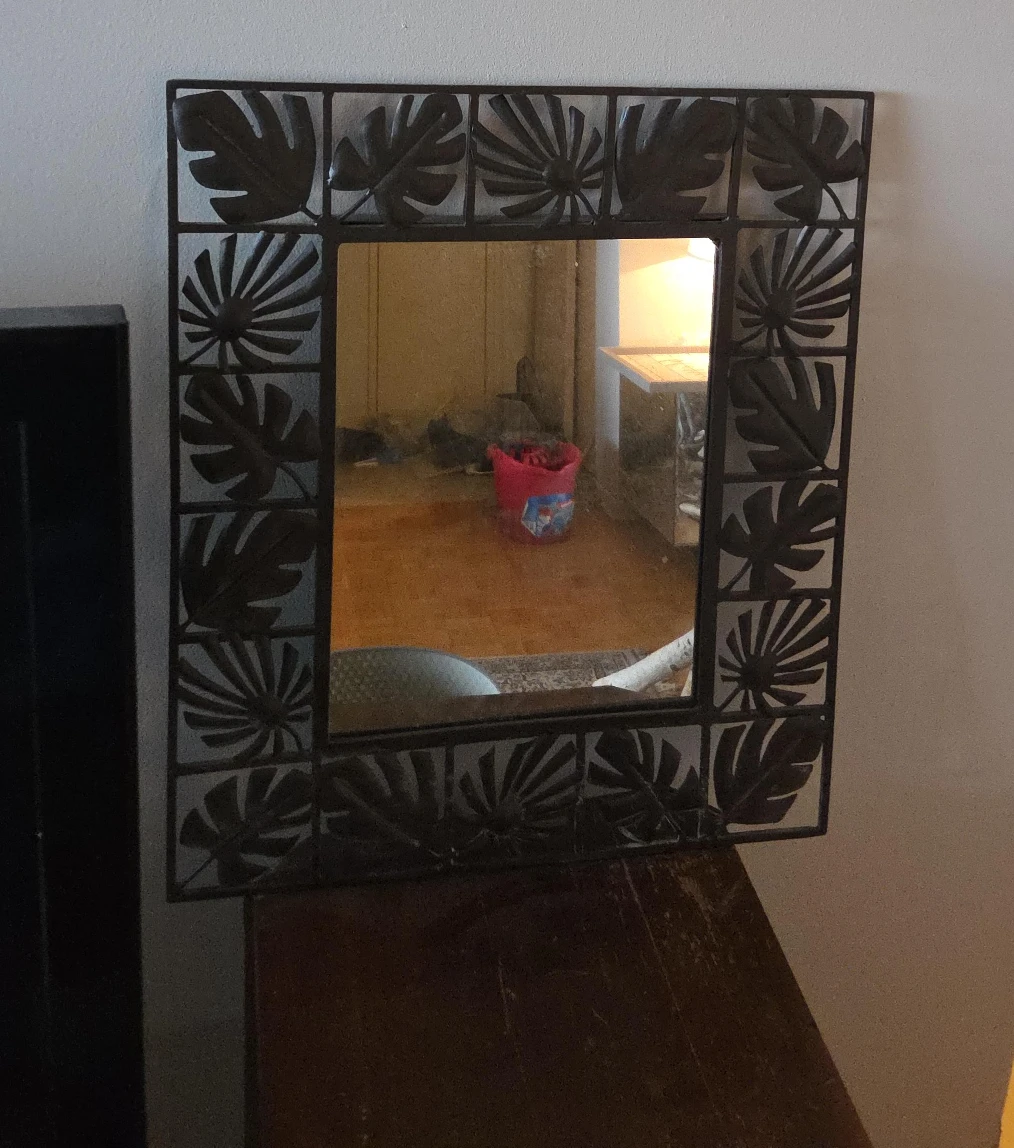 Framed Mirror with Leaf Design