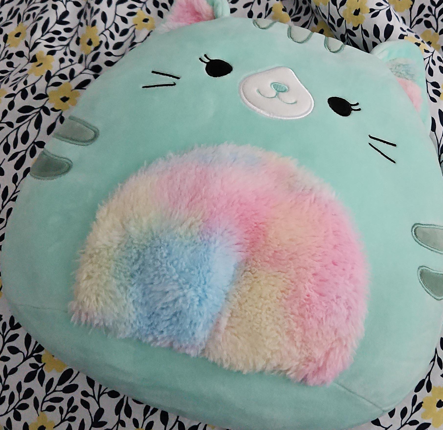 Squishmallows Cat Plush - Cute & Cuddly!
