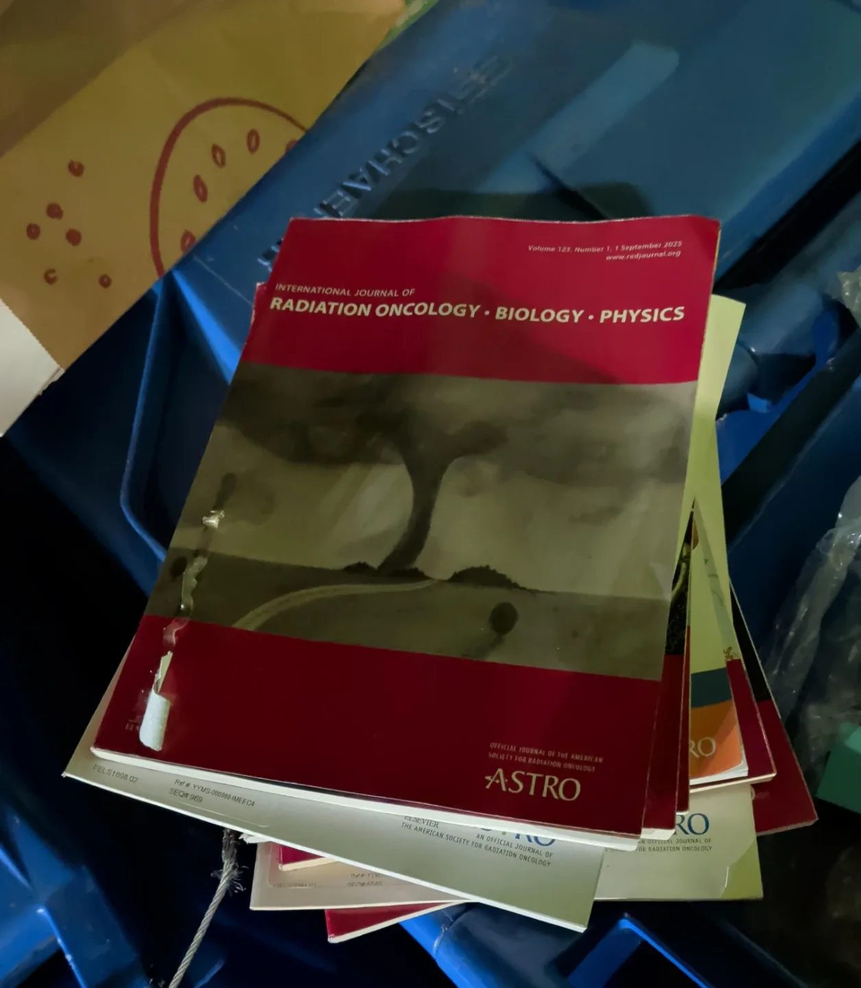 International Journal of Radiation Oncology