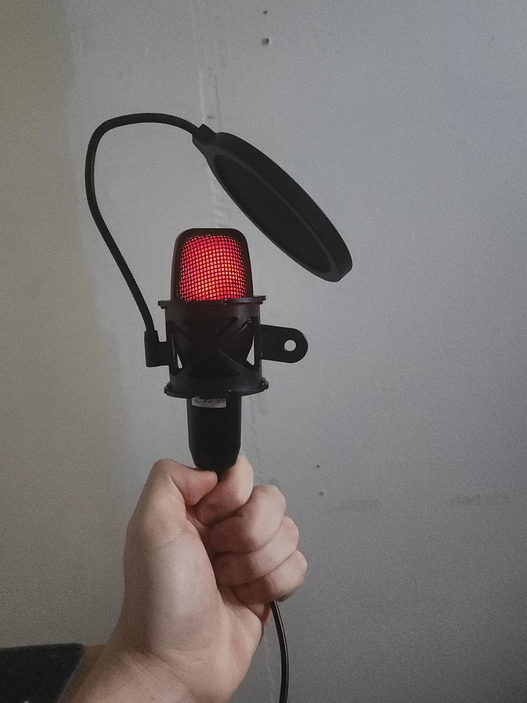Black Microphone with Pop Filter