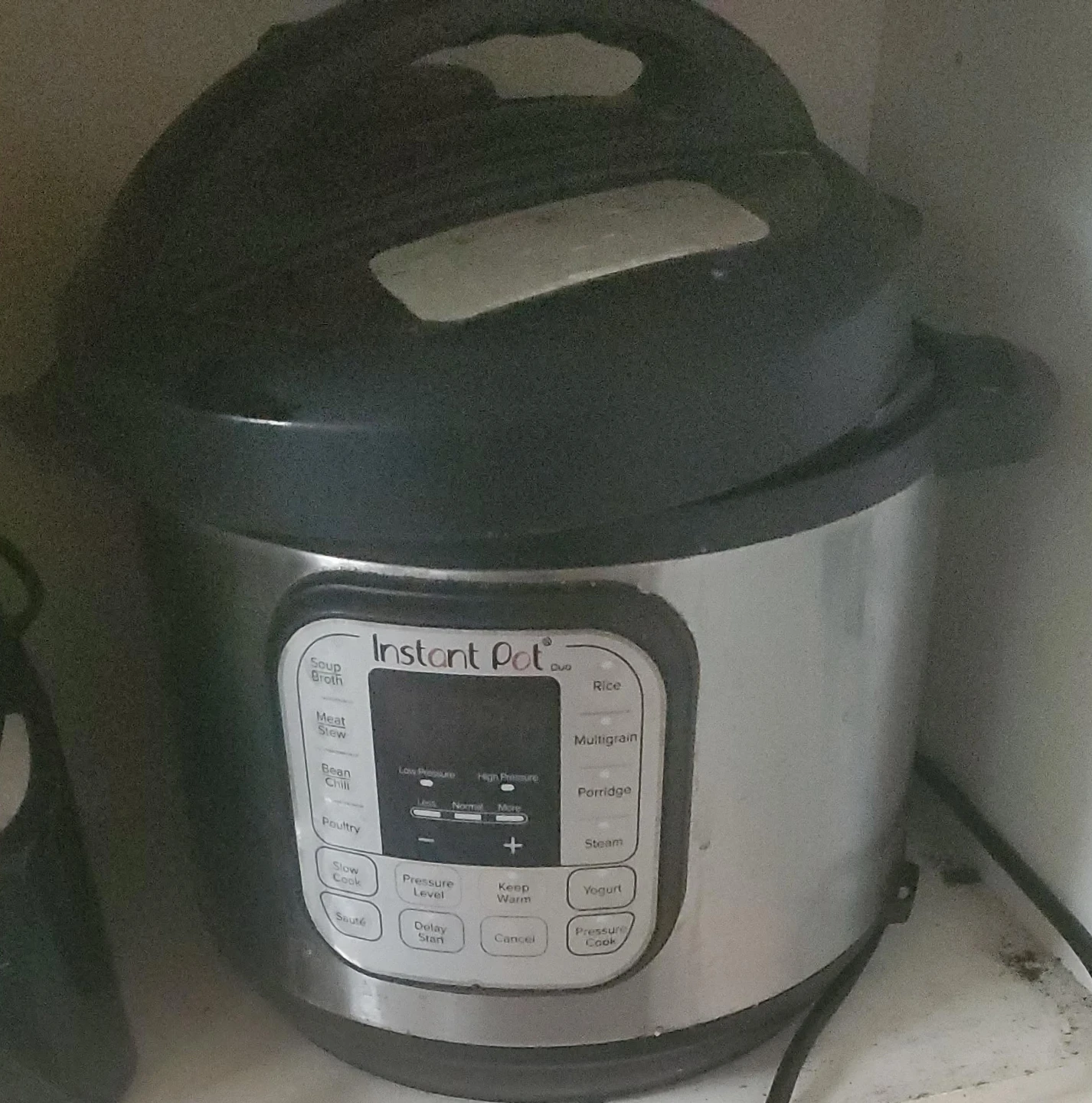 Instant Pot Duo