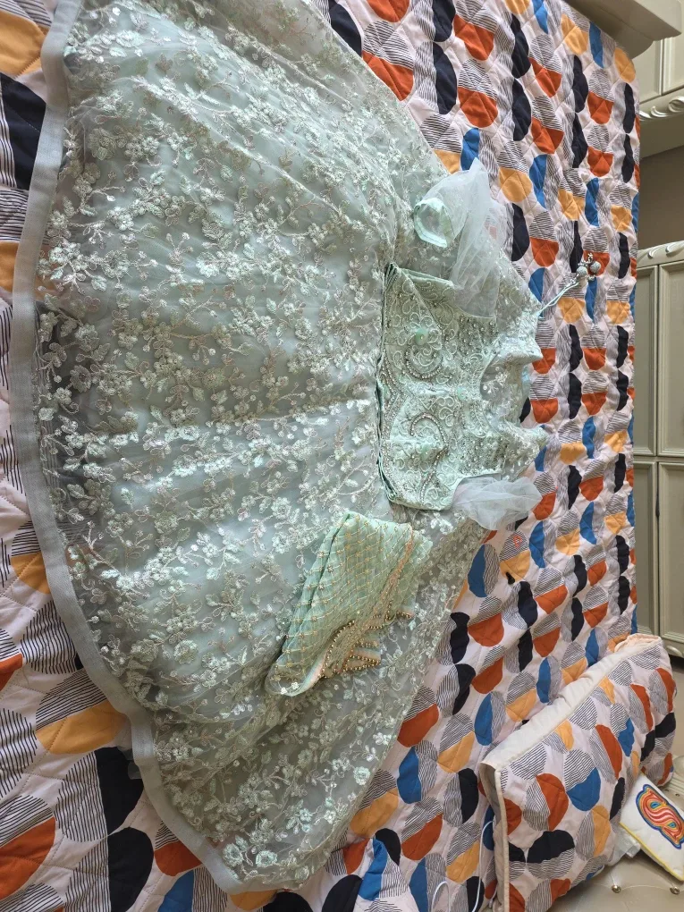 Mint Green Lehenga Choli Set