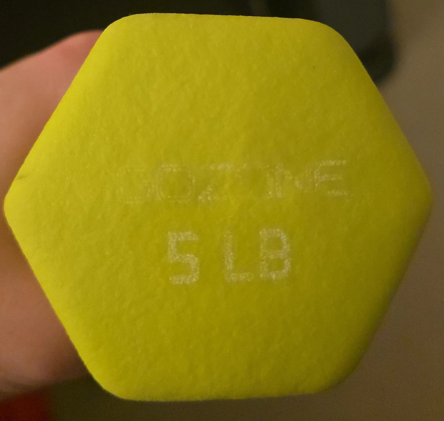 Gozone 5 LB Dumbbells - Pair