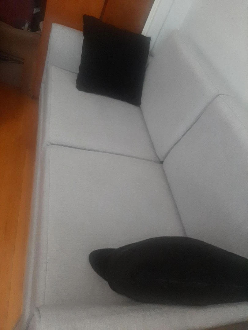 Light Grey Sofa