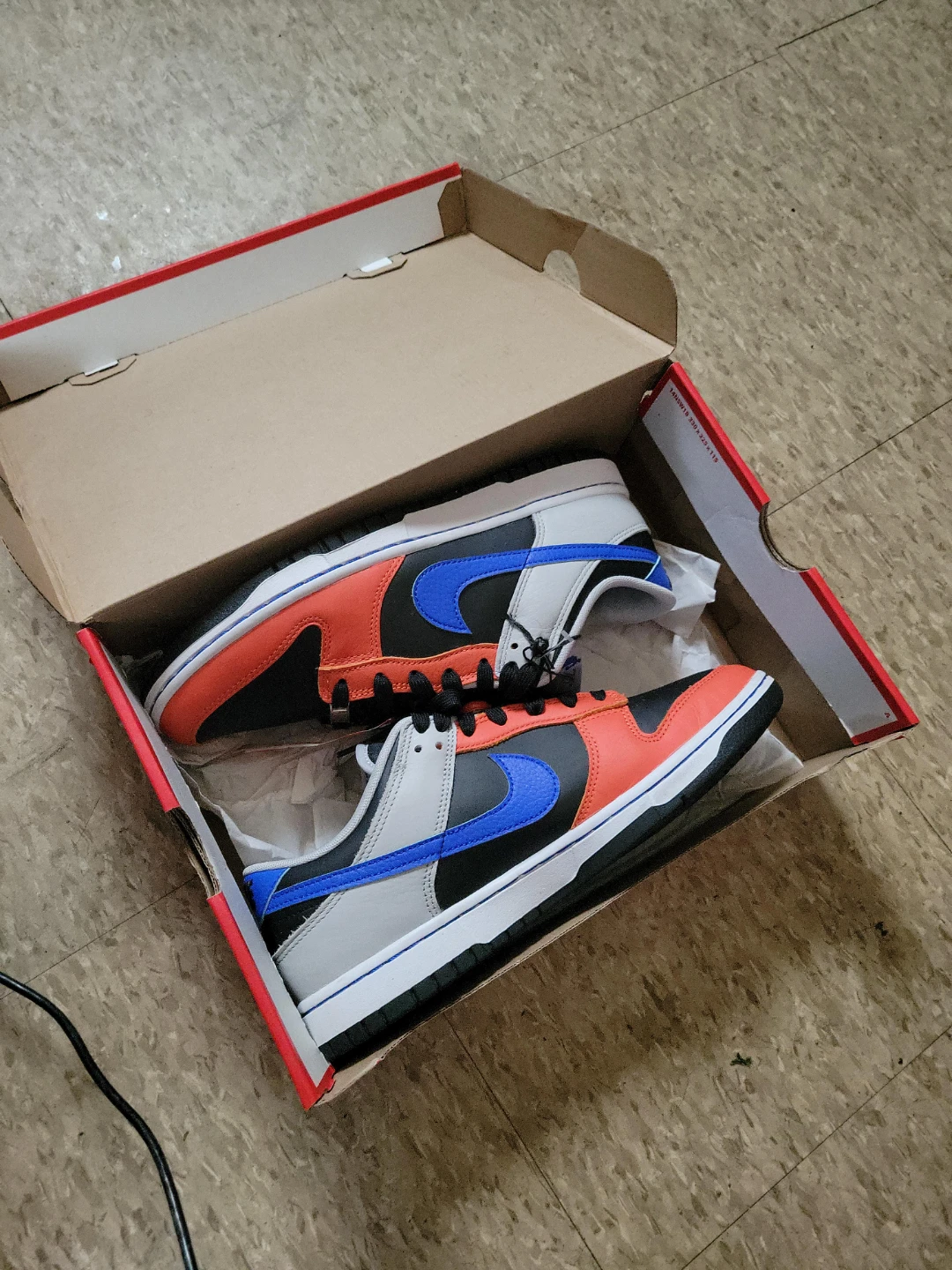 Nike Dunk Low Retro EMB, Size 10, With Box