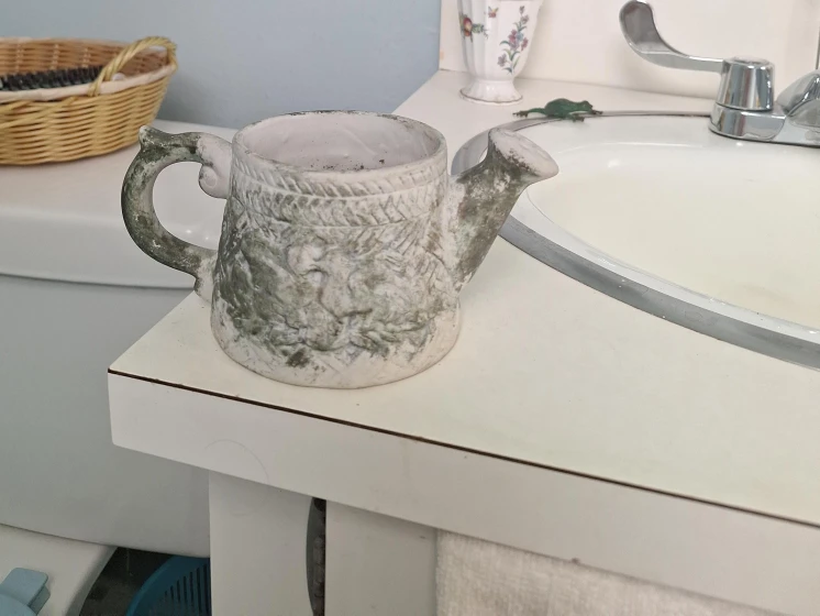 Watering Can Ceramic Decorative