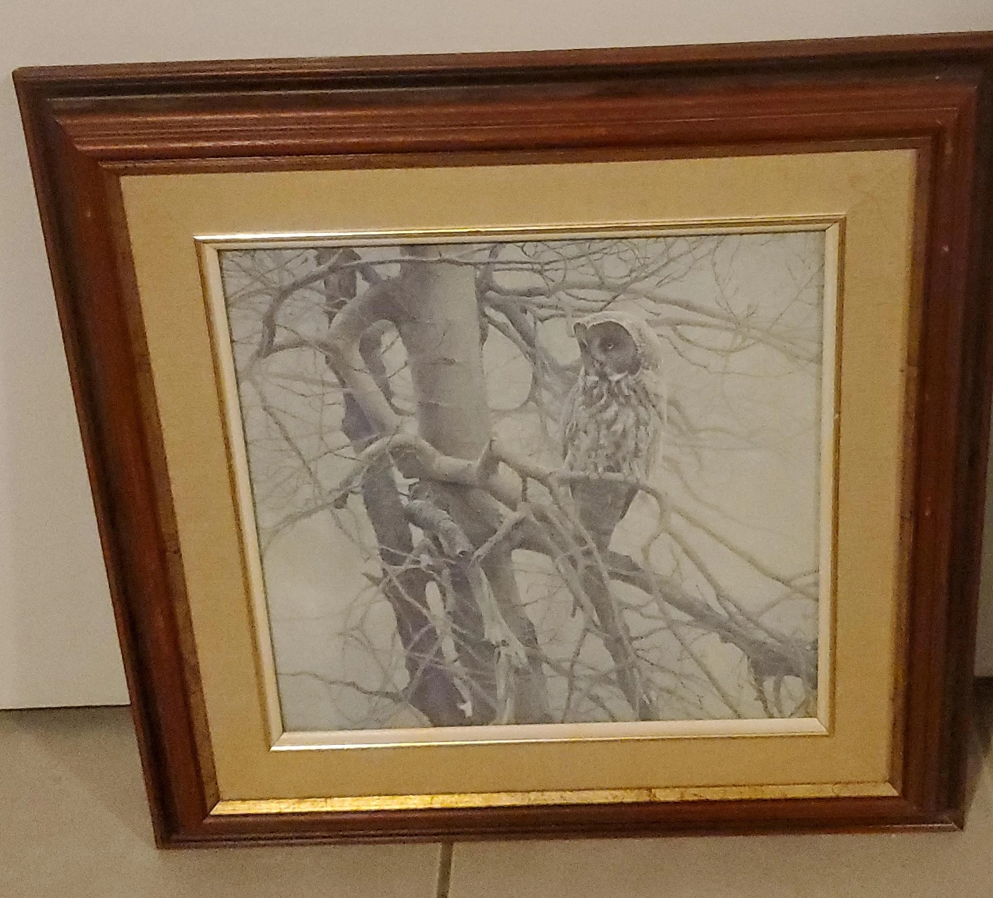Framed Owl Print
