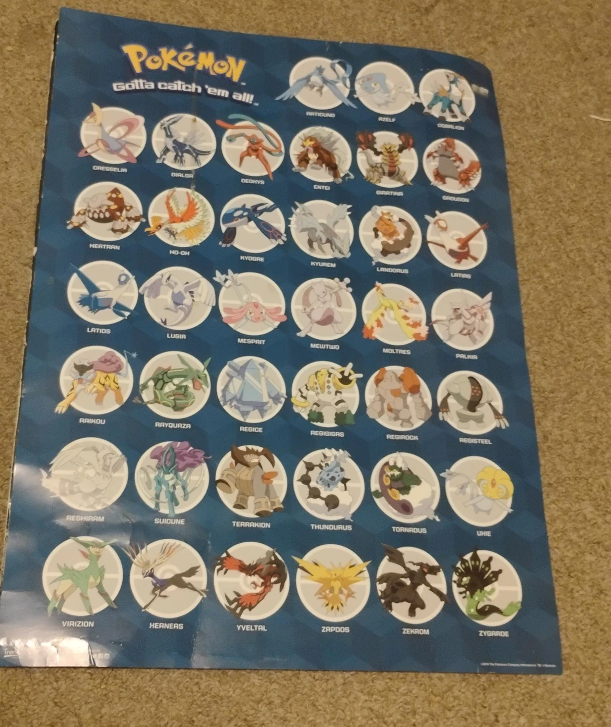Pokemon Gotta Catch 'Em All Poster