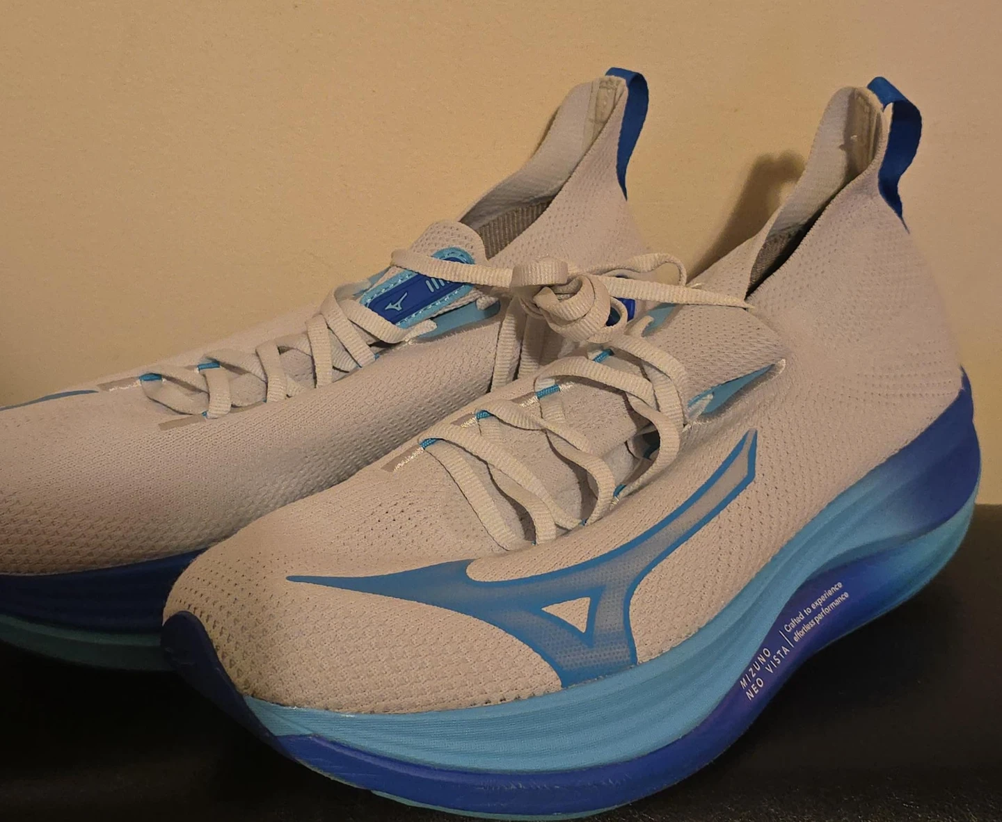 Mizuno Neo Vista Running Shoes