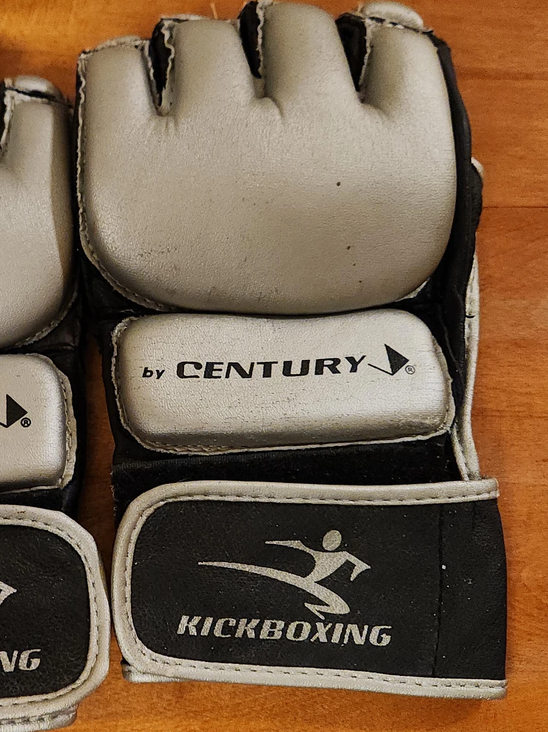 Century Kickboxing Gloves