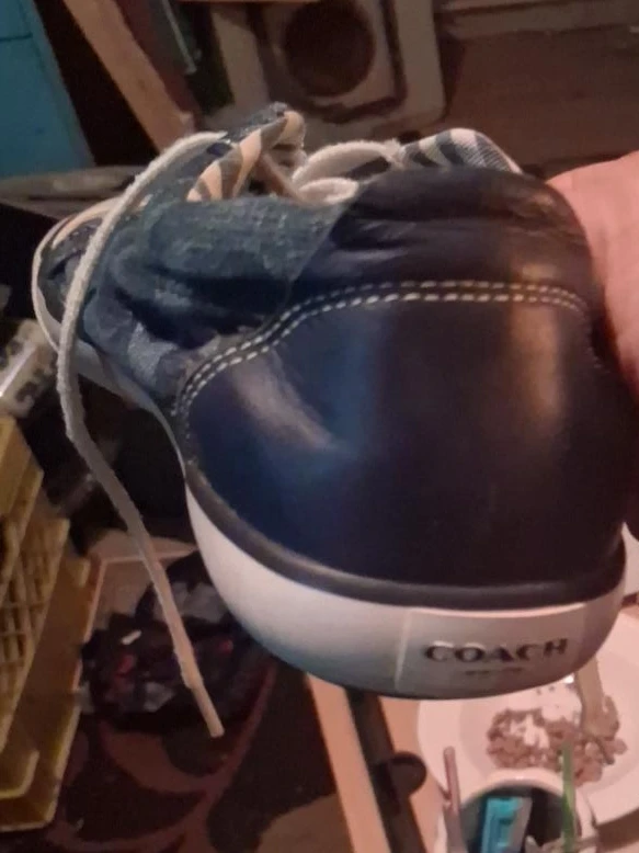 Coach Sneakers
