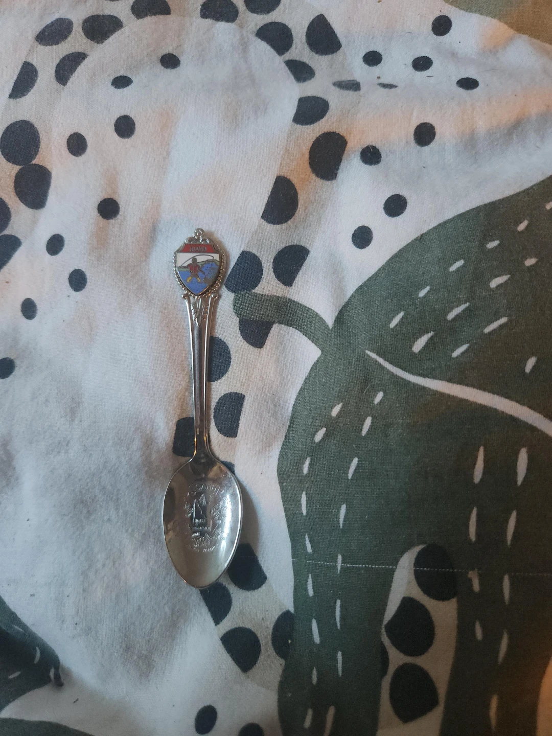 Souvenir Spoon - Saskatoon, Saskatchewan 🌱