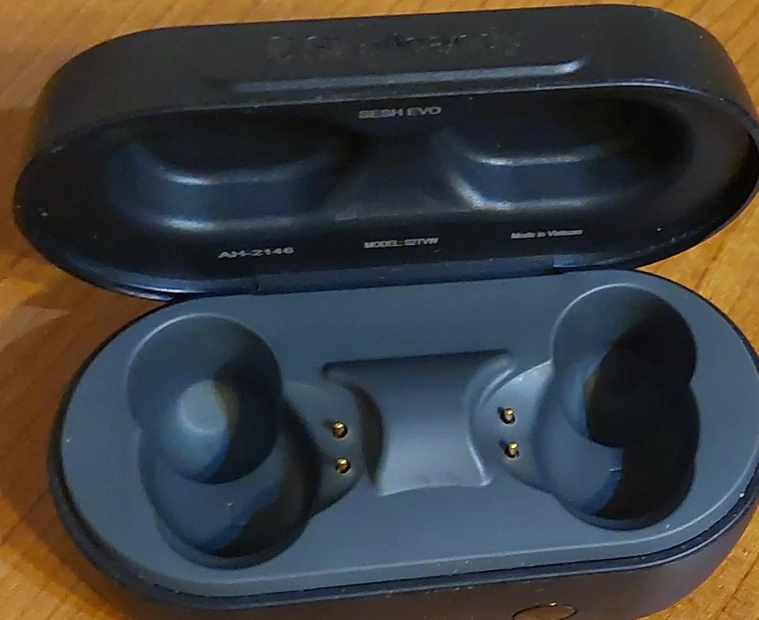 Skullcandy Sesh Evo Wireless Earbuds