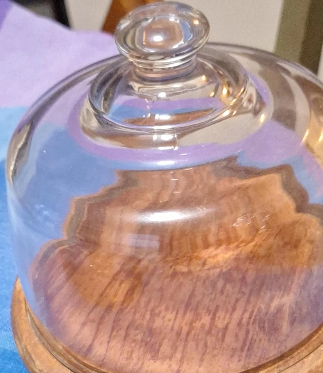 Glass Cloche with Wooden Base
