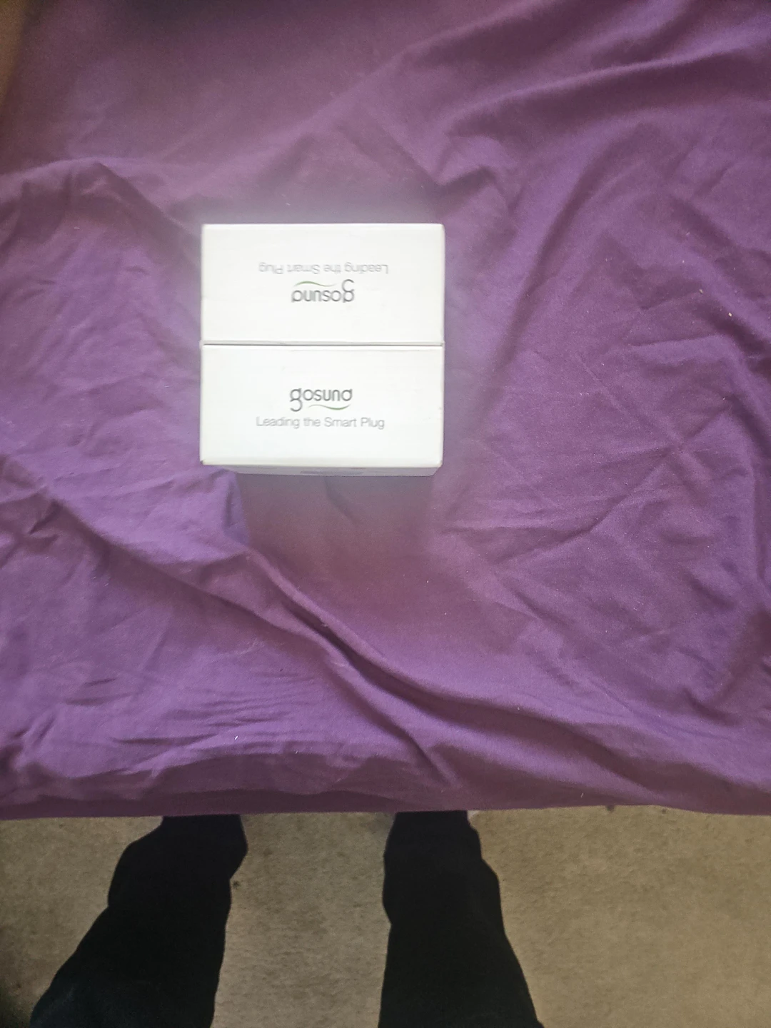 Gosund Smart Plug - New in Box!